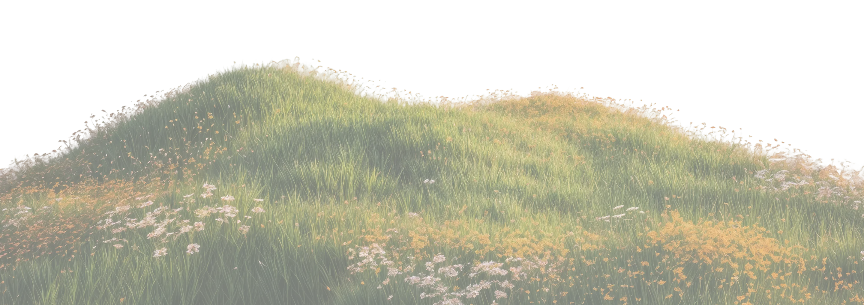 Footer Image